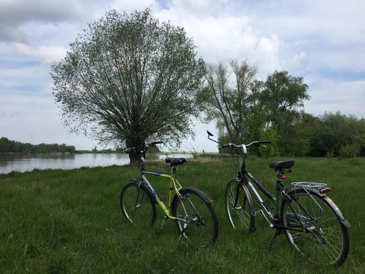 Agroturystyka Kobylnica Nad Wisla Esterno foto