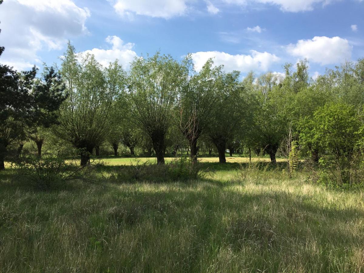 Agroturystyka Kobylnica Nad Wisla Esterno foto