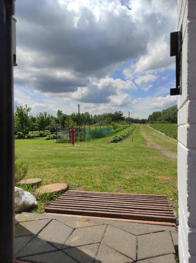 Agroturystyka Kobylnica Nad Wisla Esterno foto