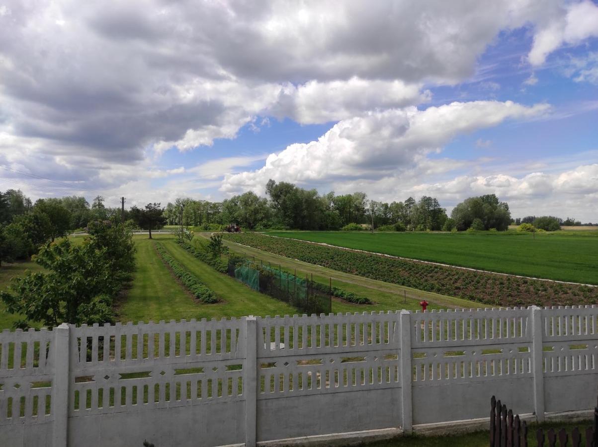 Agroturystyka Kobylnica Nad Wisla Esterno foto