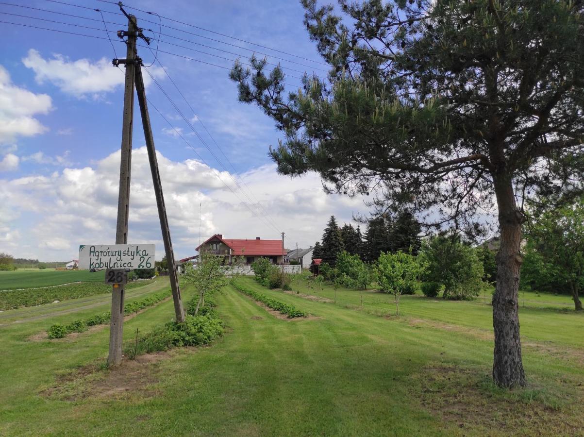 Agroturystyka Kobylnica Nad Wisla Esterno foto