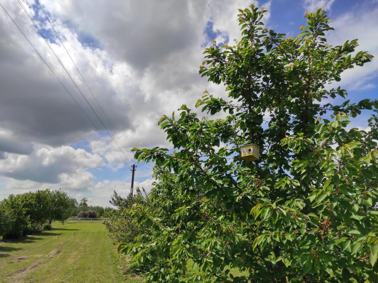 Agroturystyka Kobylnica Nad Wisla Esterno foto